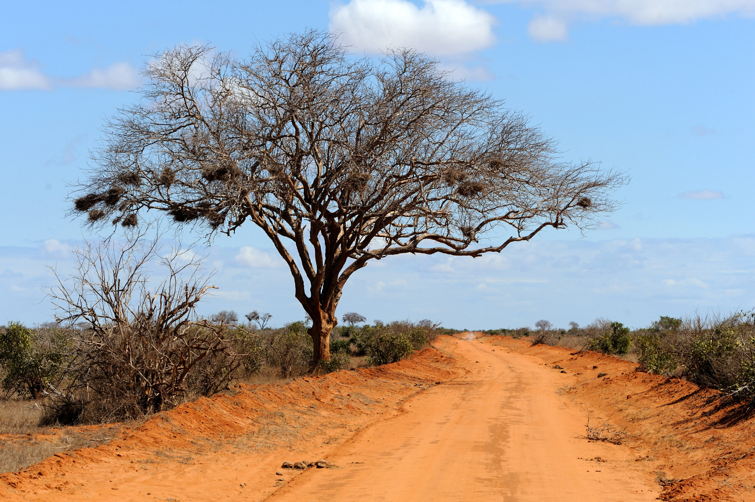 Afrique de l'Ouest